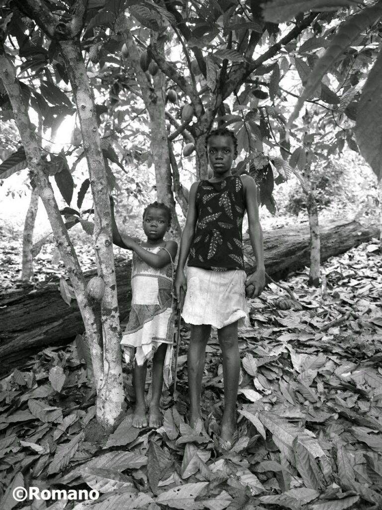 Child Slaves in West African Cacao Plantation