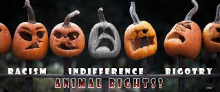 Racism at Animal Rights Protest