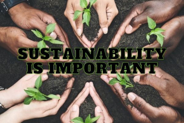 Lee más sobre el artículo Shouldn’t nonprofits be sustainable too?