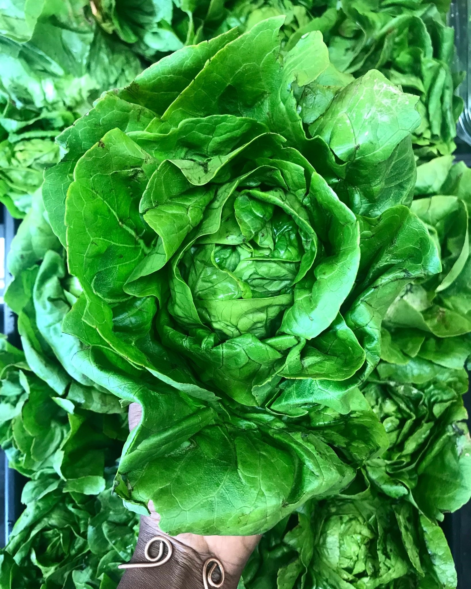 Lee más sobre el artículo Big corporations are not the answer to lack of access to healthy foods