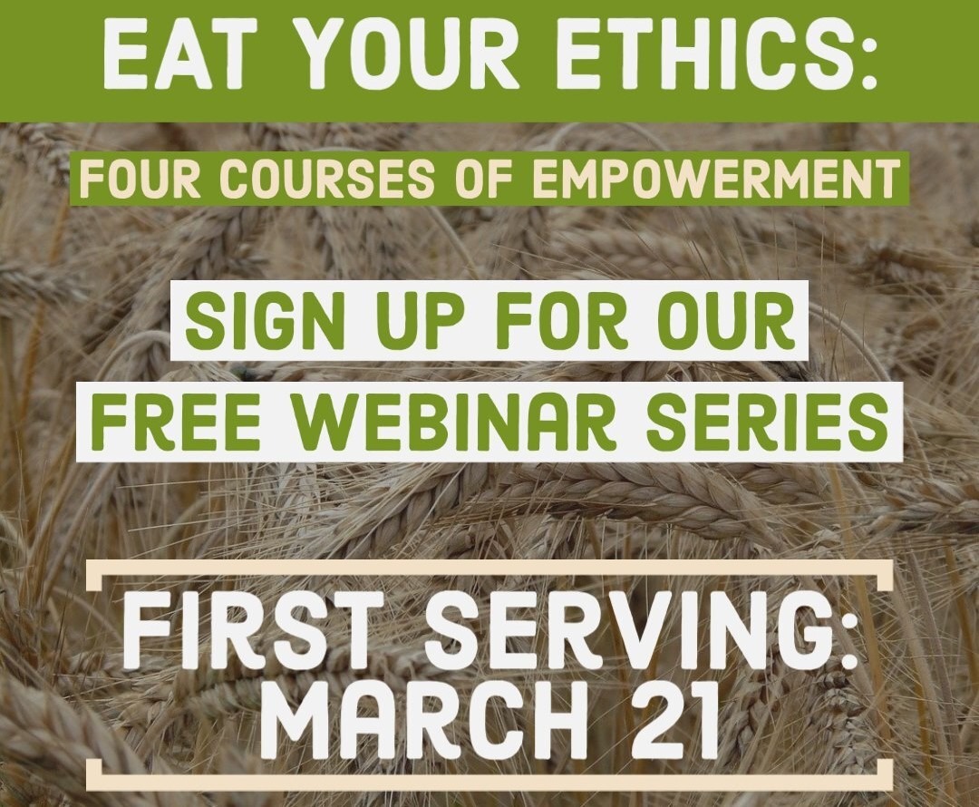 Lee más sobre el artículo (English) Sign Up For Our Webinar
