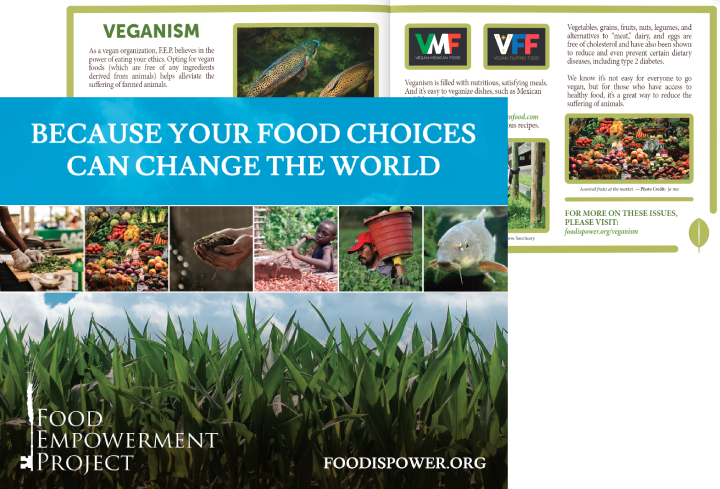 F.E.P. Leaflet (English)