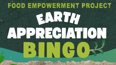 Lee más sobre el artículo (English) Celebrate Earth with Bingo