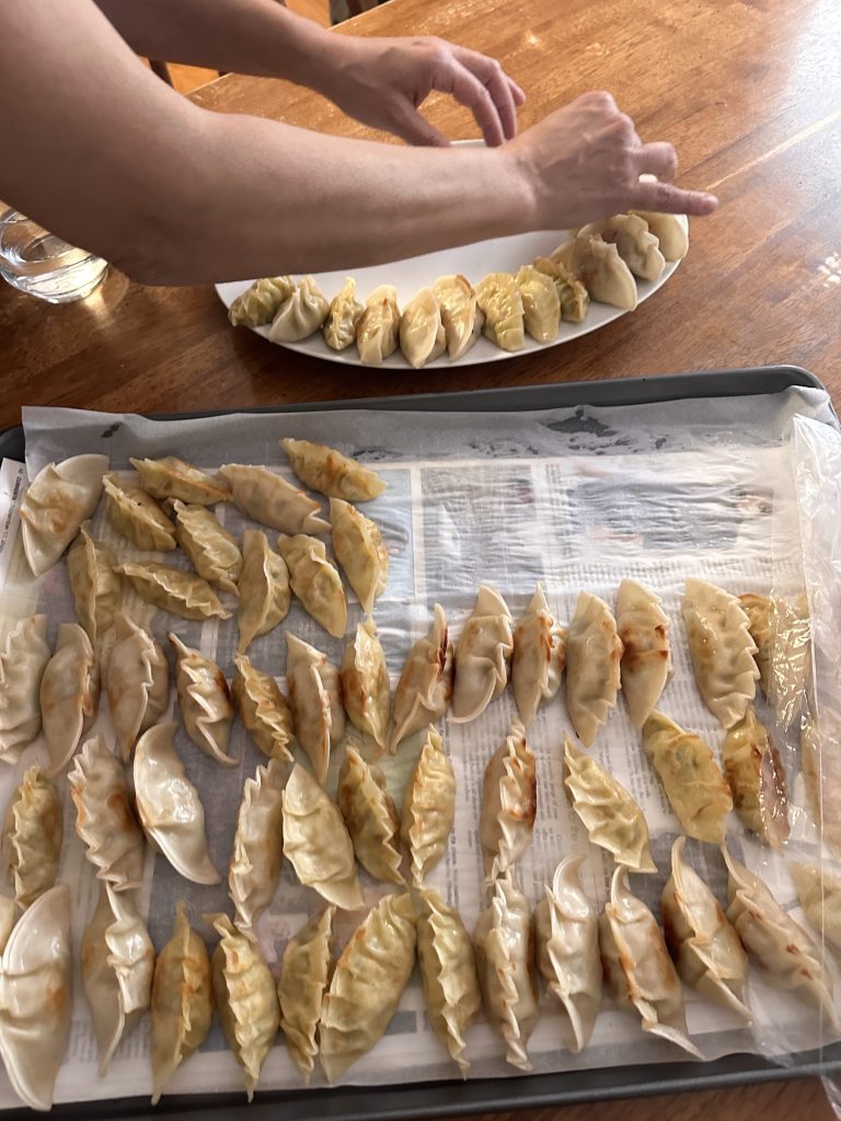 Mandu (Korean dumplings)